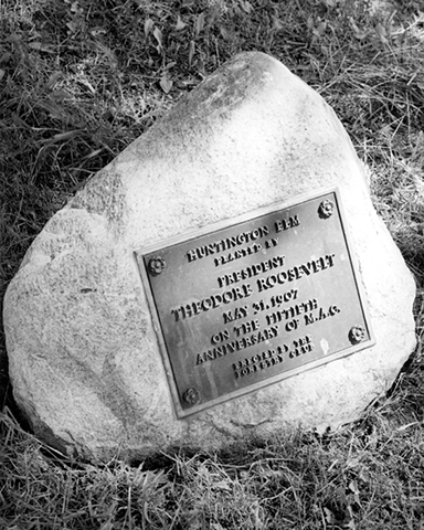 Roosevelt Elm plaque, MSU Archives